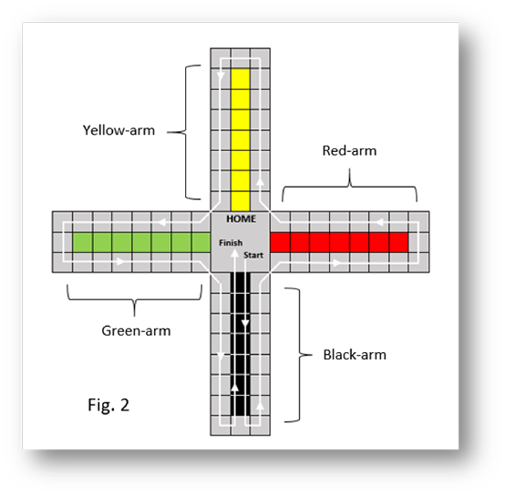 Chopat board with the path of black pawns