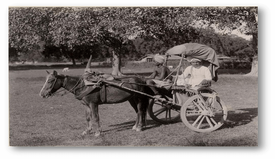 Photo of passenger horse cart